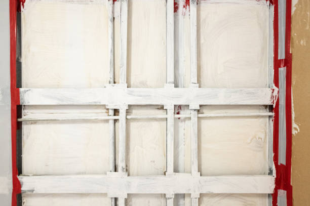 Best Basement Mold Removal  in Ridgecrest, FL