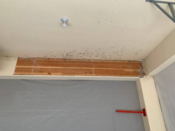 Best Indoor Air Quality Assessment  in Ridgecrest, FL